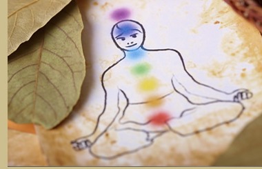 An illustration of the body's energy centers resting on a dried leaf